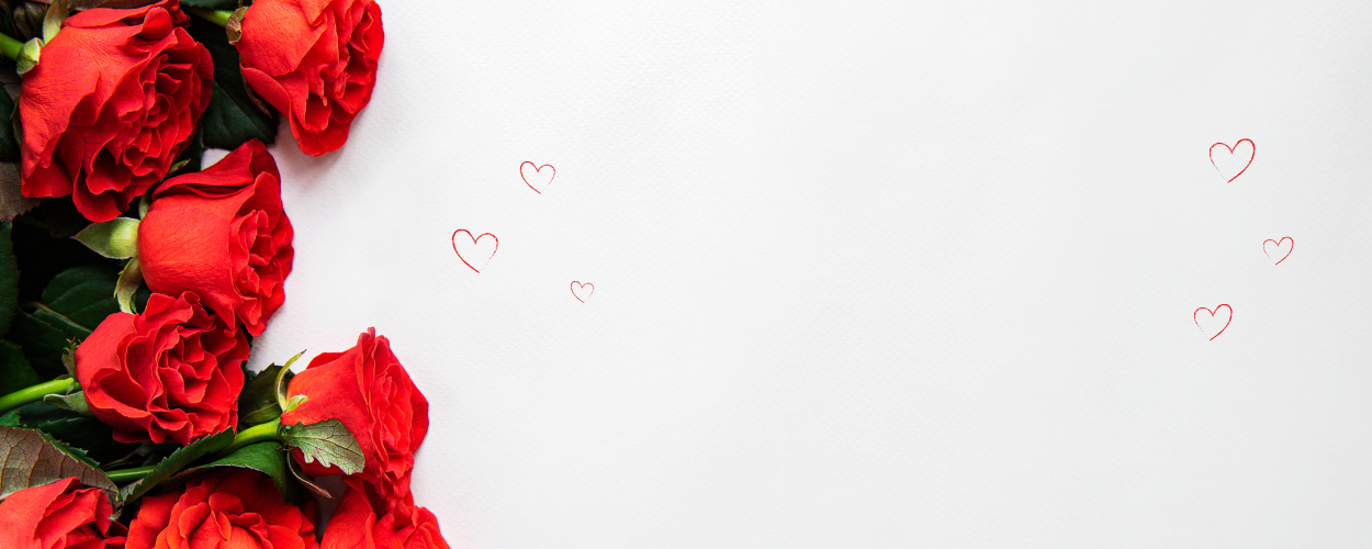 kwiaty blisko ciebie kwiaty blisko ciebie w tle niebieska hortensja