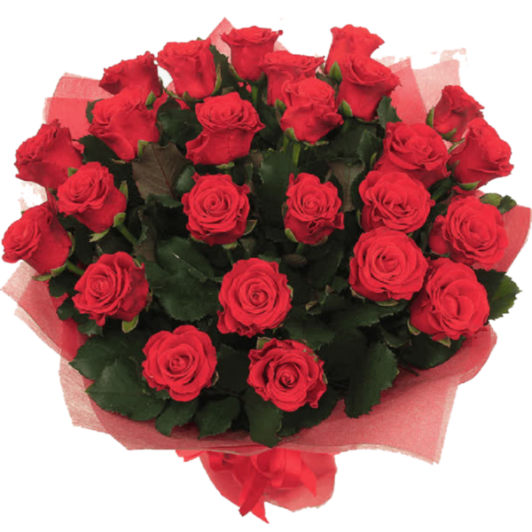 duży bukiet czerwonych róż owinięty w czerwoną bibułę z czerwoną wstążką