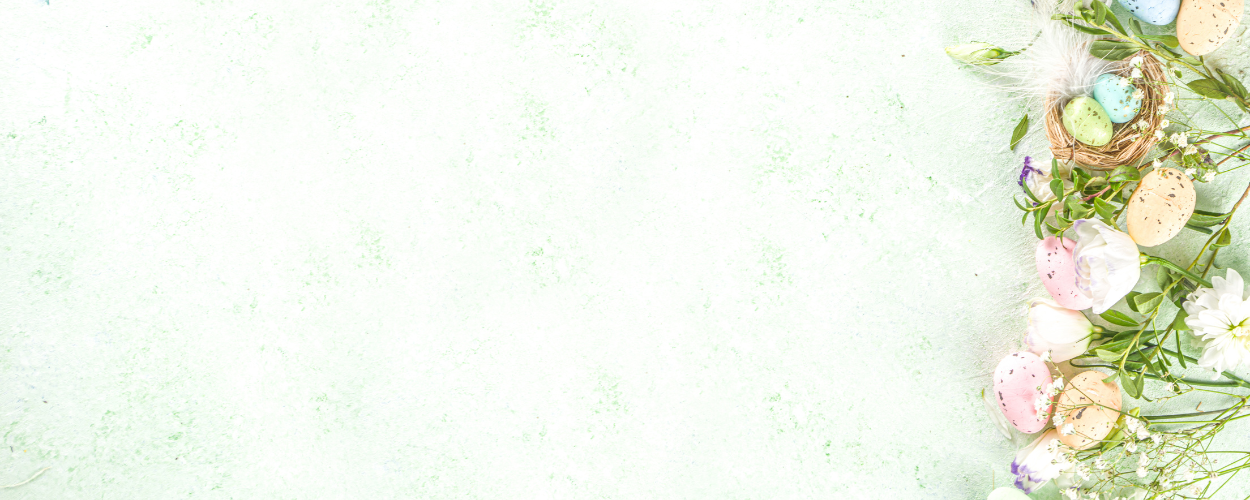 kwiaty blisko ciebie w tle niebieska hortensja